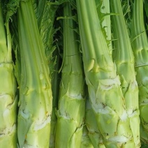 棒菜