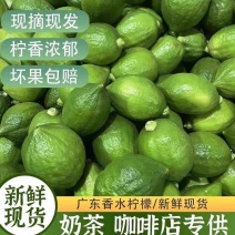 广东香水柠檬精品果