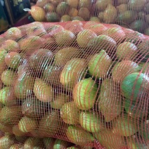 广东香水柠檬榨汁果