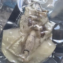 风味墨鱼