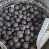 青龙冻梨