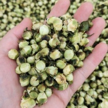 农副产品中药材山茶花药用山茶花，品质保证，一手货源量大从