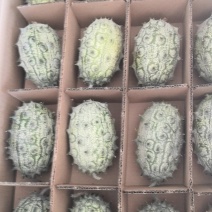 火参果