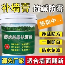 防水防潮补墙膏墙面修补膏白色腻子膏家用内墙涂料裂缝修