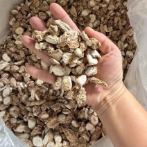 阳春大沙姜，厚片无硫足干货（下单前先联系卖家）