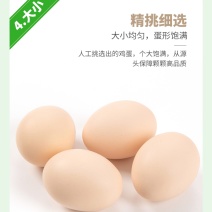 鲜鸡蛋，蛋清浓稠，蛋黄比例大口感好，质量稳定