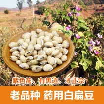 中药材白扁豆药扁豆正宗煲汤煮粥五谷杂粮各种规格批发零售