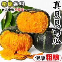 两广精品贝贝南瓜大量供应对接市场/商超/电商/社区团购
