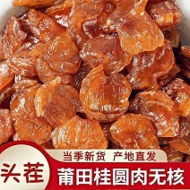 桂圆肉中药材灯笼肉龙眼干无核圆肉龙眼肉干桂圆干元肉厚批发