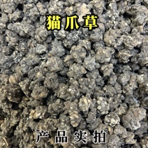 猫爪草中药材猫抓草正品水洗三遍干净无杂规格齐全