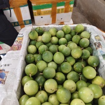 百香果