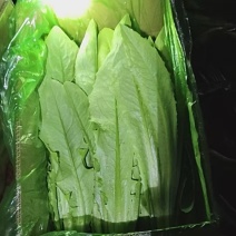 新鲜油麦菜，货源充足，量大从优，欢迎致电