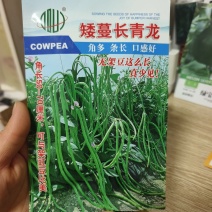 矮蔓长青龙长豇豆种子豆角种子