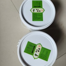 【山韭菜】内蒙古山韭菜/电商团购一件代发，对接全网便宜