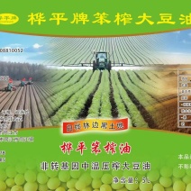 桦平牌非转基因大豆油（纯正物理中温压榨）无任何添加处理