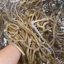 毛肚黑底板丝黑牛肚火锅冒菜串串底板