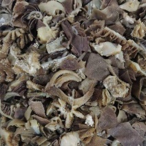 毛肚叶片边角商用新鲜牛百叶下脚料毛血旺串串冒菜配菜