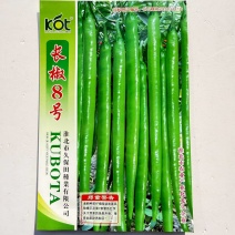 中辣长线椒长椒8号辣椒种子早熟顺直春秋播蔬菜辣椒籽高产