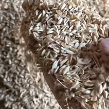 稻壳压缩稻壳厂家直发质量稳定可靠长年有货