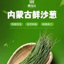 内蒙古蒙鸿义沙葱，实力产销企业，打造全国