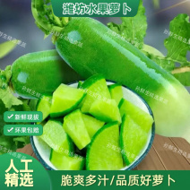 水果萝卜电商一件代发潍坊水果萝卜货源稳定