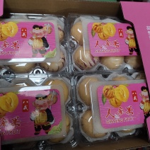 云南石林人生果品质保证现摘现发支持视频看货欢迎来电