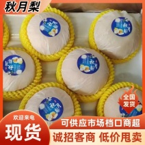 【一件代发】河北秋月梨脆甜无渣支持批发商超欢迎来电