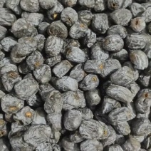 涉县大黑枣，可对接全国，可视频看货，欢迎各位老板咨询采购