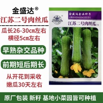 江苏二号肉丝瓜种子优质早熟短棒高产丝瓜种籽抗病农家春季蔬