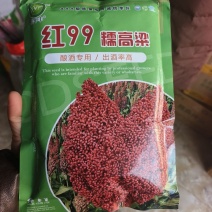 红99糯高粱，种子高粱种子矮杆高粱种子酿酒红高粱，种子