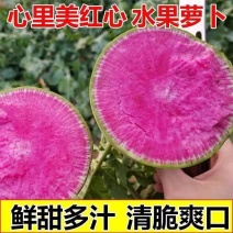 心里美红心萝卜冰淇淋萝卜产地看货论价保质保量