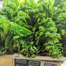 台湾山苏菜