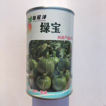 绿宝西葫芦种子无蔓高档高产油亮圆形种籽