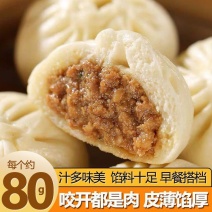80g*24只】鲜肉大包子冷冻半成品加热即食懒人速食营养