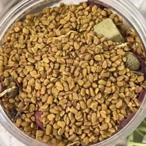 中药材葫芦巴