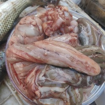 梭鱼肠子鲜咸梭鱼