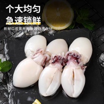 墨鱼仔生鲜冷冻新鲜小墨鱼仔迷你小墨鱼乌贼鲜活去皮去内脏商