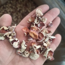 粉木耳电商平台专用粉耳优惠品质粉木耳线上用粉木耳现货粉耳