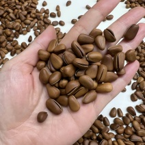 东北开口红松子大量现货