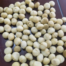 生料夏威夷果仁大量现货