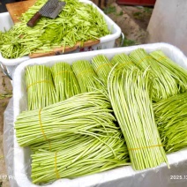 精品芦蒿白菜价格