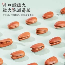 新货大开口松子支持各大电商平台一件代发批量拿货