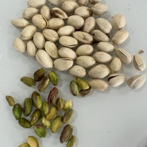 开心果大颗粒电商货大量供应