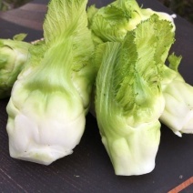 儿菜娃娃菜抱儿菜