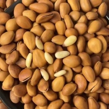 大开口松子新货支持电商平台一件代发批量拿货