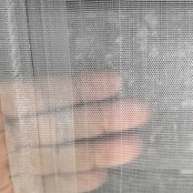 防虫网/厂家直发/各种规格都有/可以定制/大量有货
