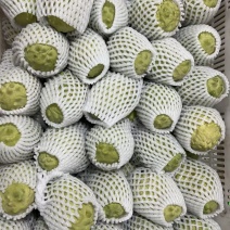 释迦果可以包邮，可以批发价，需要的联系***********