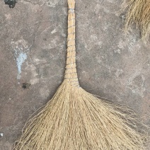 铁扫帚，金丝草扫把，地肤子草扫把