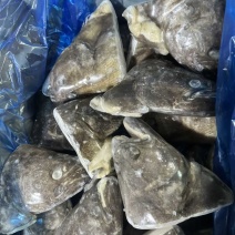格陵兰比目鱼鸦片鱼鱼头