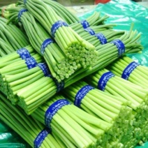 山东冷库红薹白蒜苔大量供应货源充足价格不高保质保量全国发